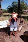 Pig Man de San Nicolas