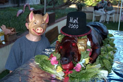 T-Ugly, apprentice carnivore