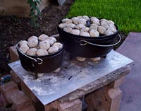 8 & 12 inch Dutch Ovens